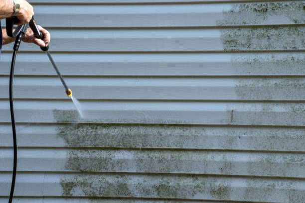 Best Demolition Debris Removal  in Westbury, NY